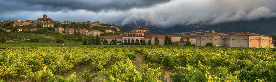 El V Centenario del ‘Camino Ignaciano’ peregrina por Rioja Alavesa
